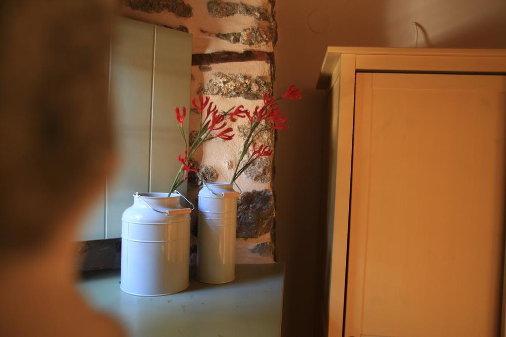 Bayiri Petit Pension Litochoro Zewnętrze zdjęcie